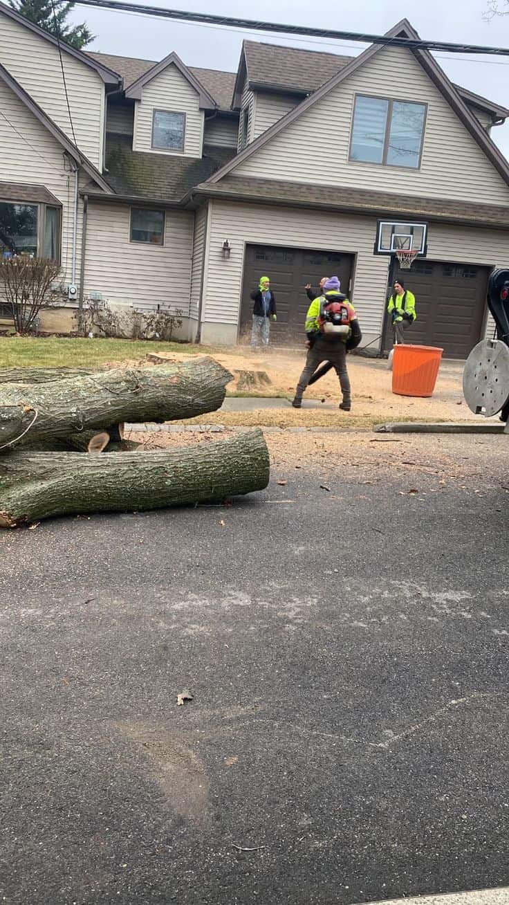 Crew completing lot clearing work